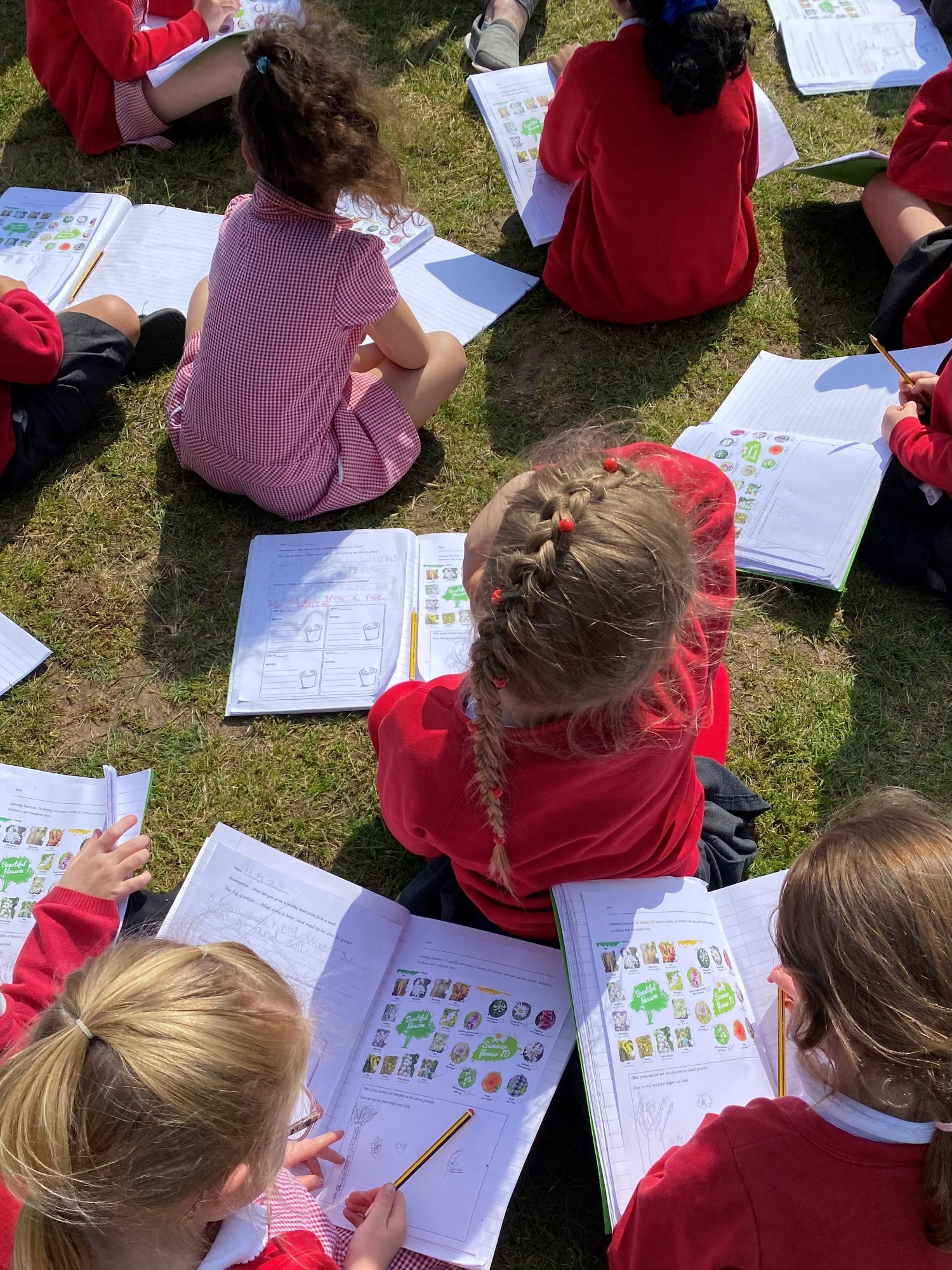 Broke Hall Primary School Outdoor Classroom Day